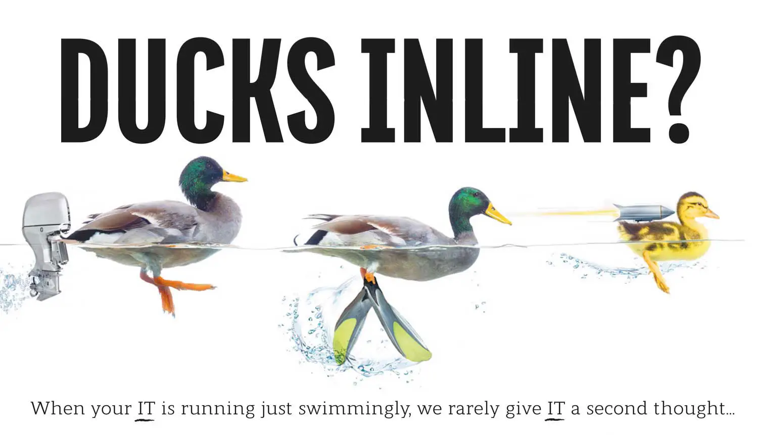 Ducks inline?