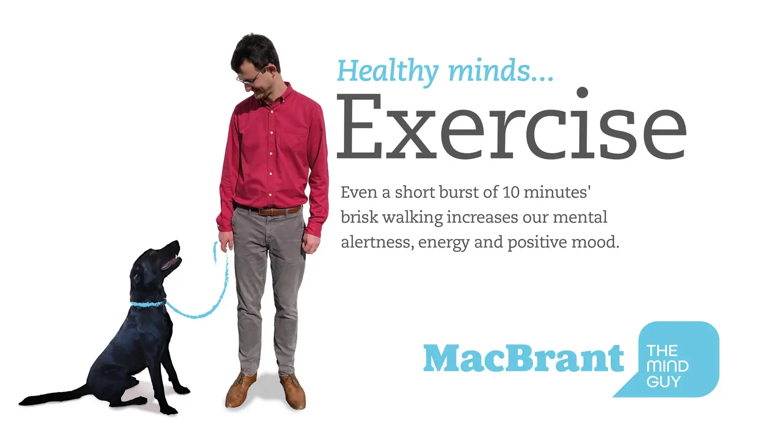 MacBrant psychotherapy flash cards