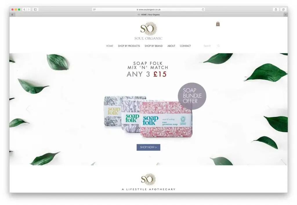 Soul Organic vegan website design