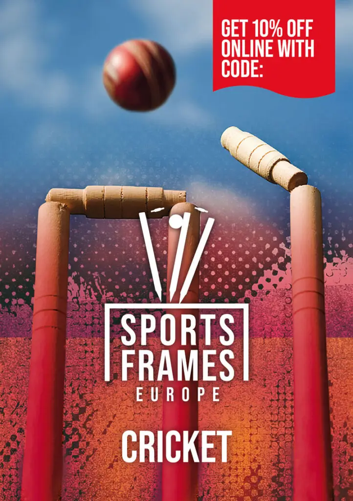 ports Frames Europe Cricket flyer