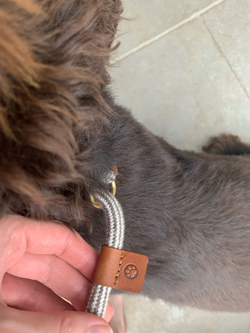 Willow & Porter Logo embossed onto a leather dog lead tag