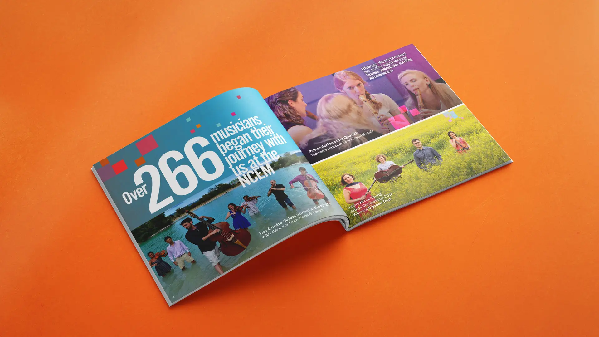 NCEM Promotional Brochure spread